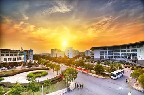 1554951440467271.jpg 41.webp.jpg