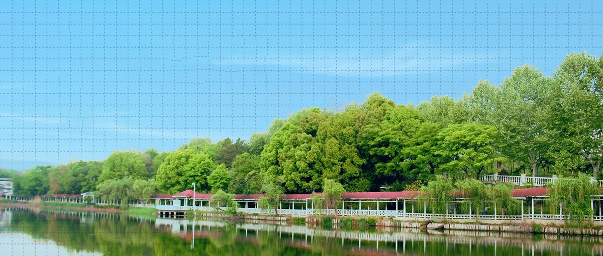 南工大2019综评初审有3389人通过！比去年增加976人