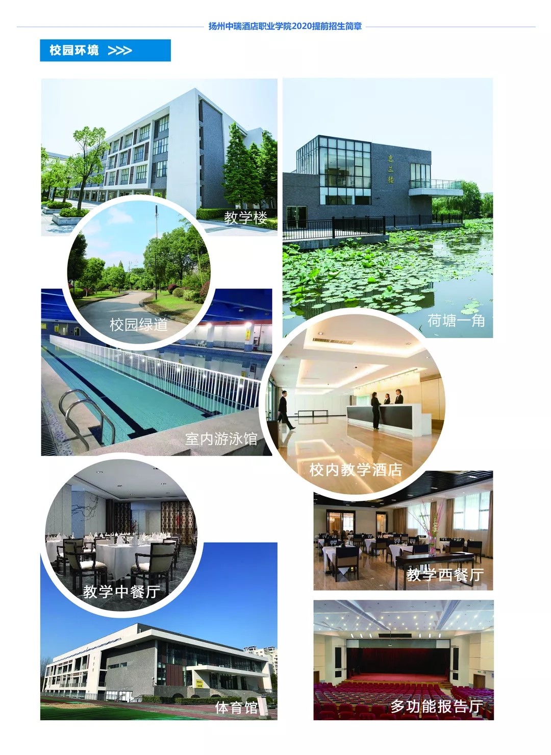 1579504817282541.jpg 640.webp (2).jpg