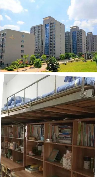 1582078875364141.jpg 56.jpg