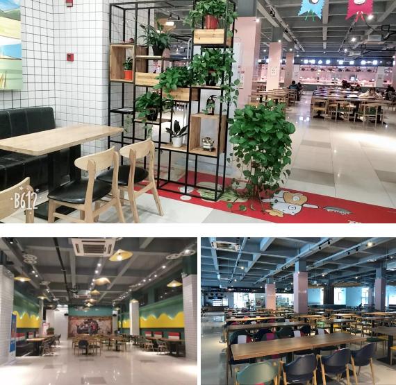 1582684748365463.jpg 51.jpg