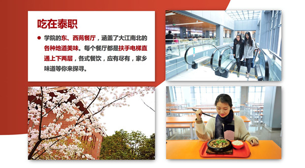 1583203344493261.jpg 28_副本.jpg