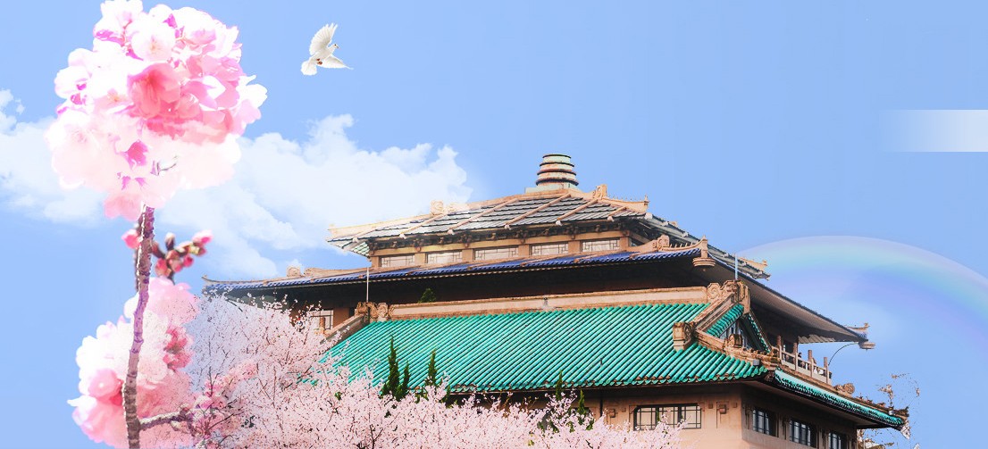 武汉大学2020年强基计划招生简章