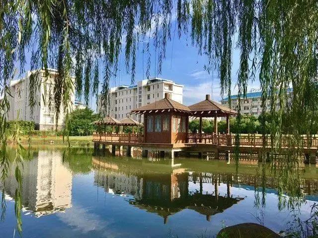 微信图片_20200719095157.jpg