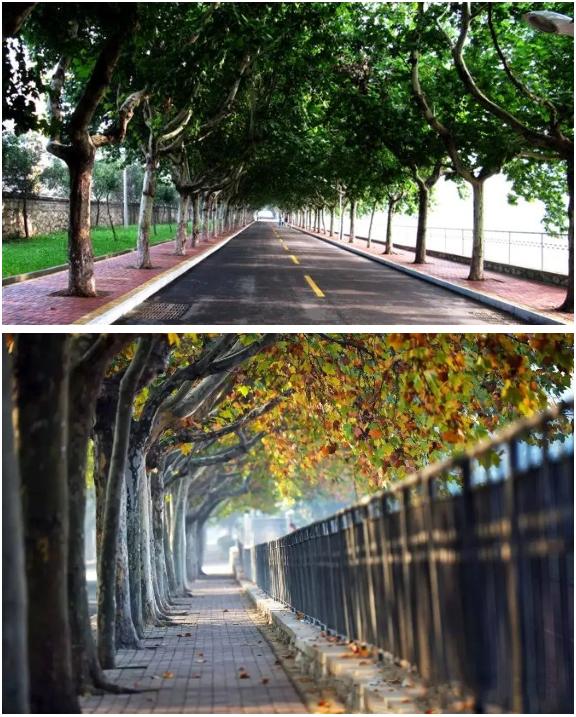 1596762616920406.png 6.png