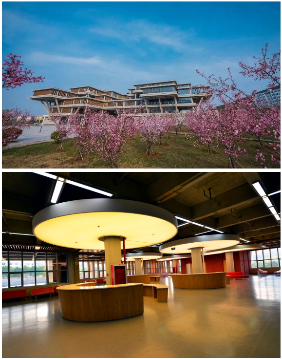 1596762663517106.png 9.png