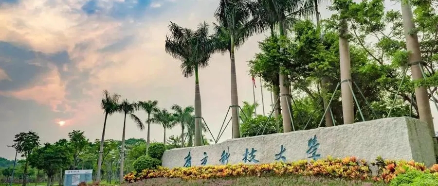 南科大2021综评面试资格名单出炉，你上榜了吗？