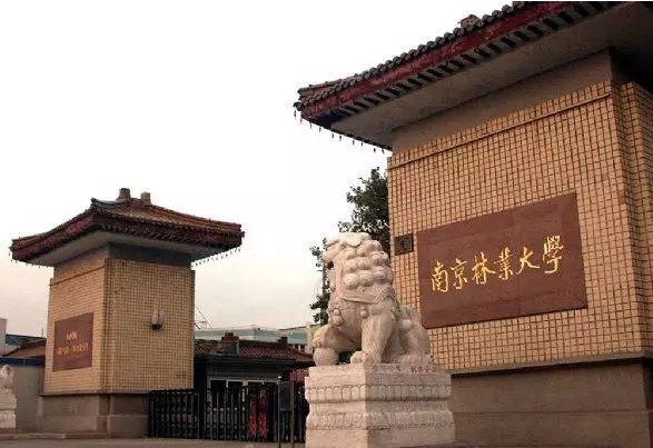 南京林业大学2021年综合评价招生入选考生名单公示