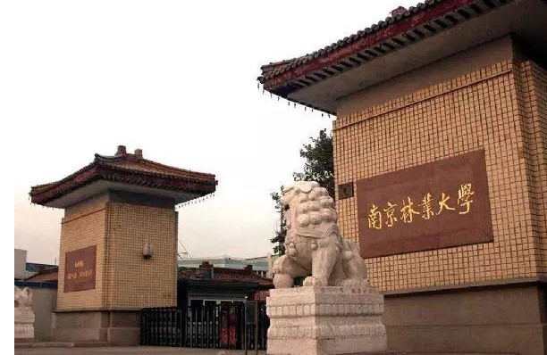 南京林业大学2021年综合评价招生入选考生名单公示