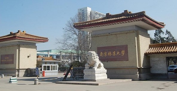 热点解答！南京林业大学2021年江苏省招生咨询问题汇总