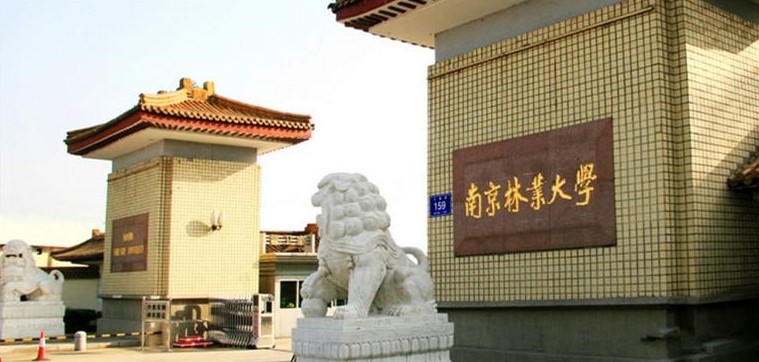 南京林业大学2021年综合评价招生志愿填报指南请查收！