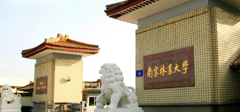 林科特色双一流！南京林业大学2021年专业录取分数线汇总