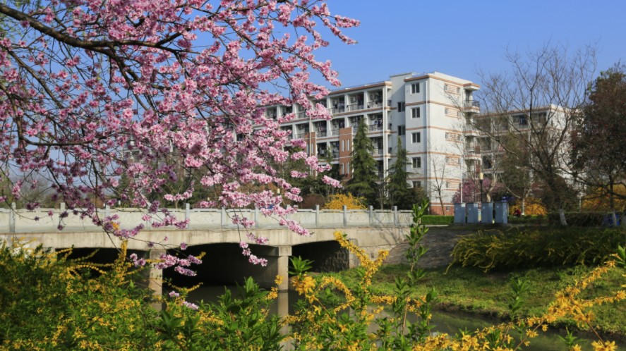 江苏食品药品职业技术学院2022年提前招生报考指南来啦！