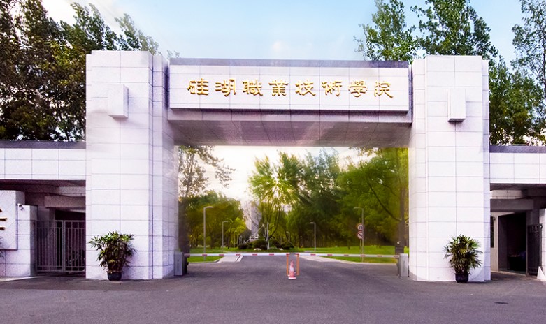 2022年硅湖职业技术学院高职院提前单招