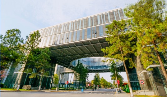 同济大学2022年强基计划招生简章
