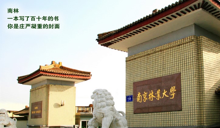 南京林业大学2022年综合评价招生初审通过考生名单公示