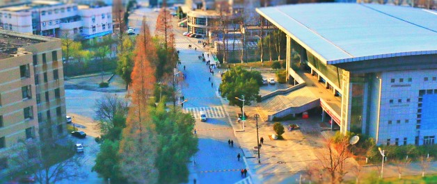 南京林业大学2022年综合评价招生面试工作安排