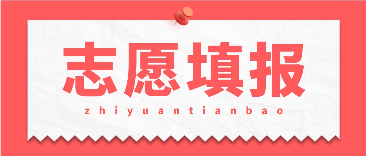志愿通智能填报系统——帮你弯道超车考上好大学