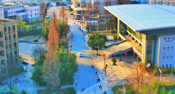 南京林业大学2022年综合评价招生入选考生名单公示