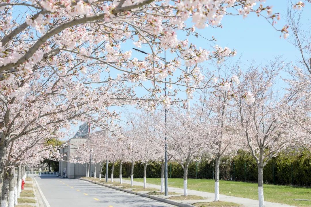 抢先看！苏职大、江苏卫生健康等多所院校2023年提前招生专业及计划出炉