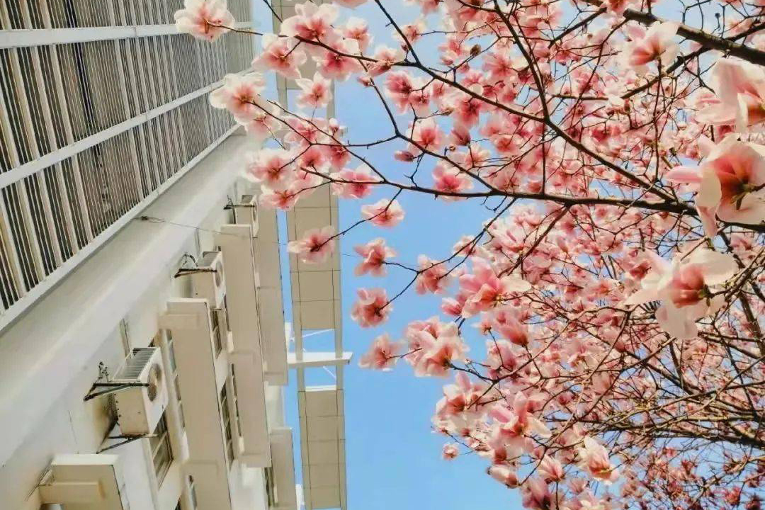 最高647分！2022年南京师范大学专业录取分出炉！