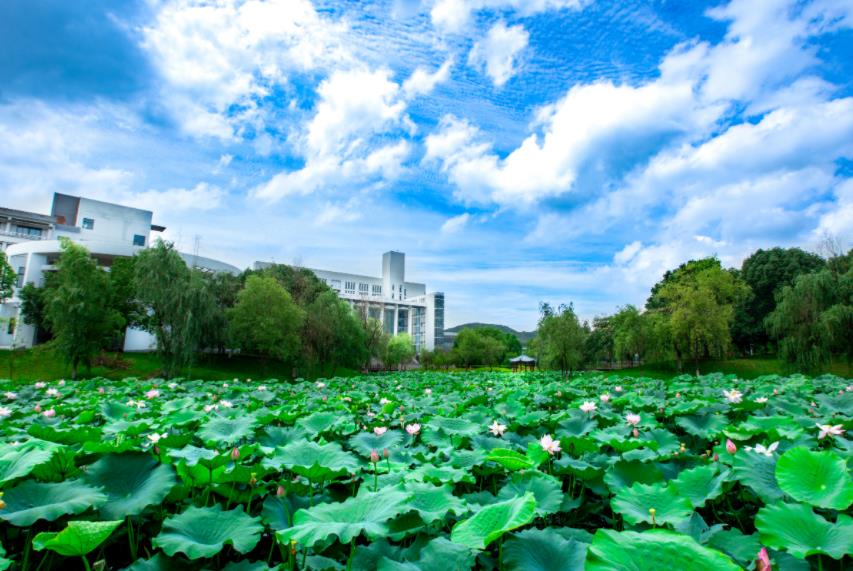 微信截图_20230531154141.jpg