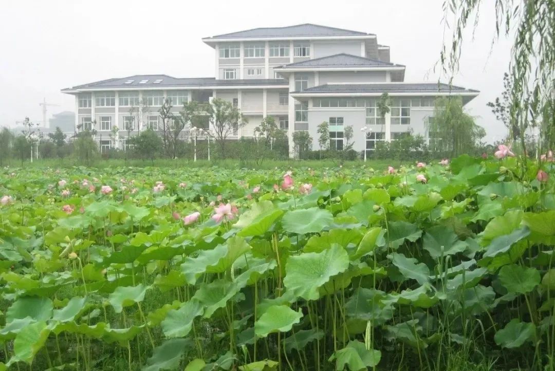 江海5.jpg