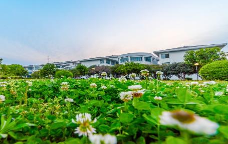 苏州大学应用技术学院2022年普通高考录取分数（江苏）