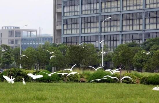 360截图20230622102720773.jpg