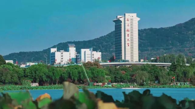 南京林业大学2023年江苏省考生志愿填报建议