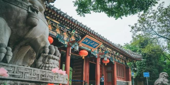校友会2023中国大学文学实力排名出炉！北大第1，南大第3