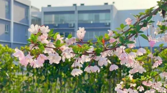 欢迎报考|江南影视艺术职业学院2023年普通类征求计划出炉！