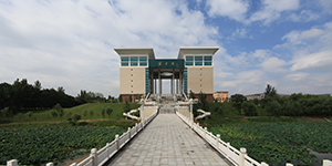 换帅！这所学院，即将更名大学