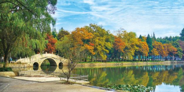 南京理工大学：多措并举释放成果转化新动能