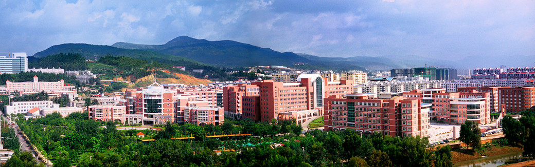 云南财经大学2024年起停止高水平运动队招生