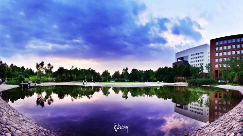 北京工业大学2024年起停止高水平运动队招生