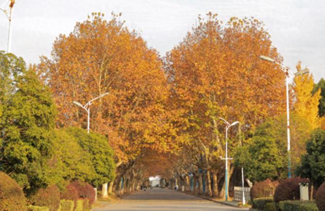 1705571694181908.jpg 江海职业技术学院.jpg