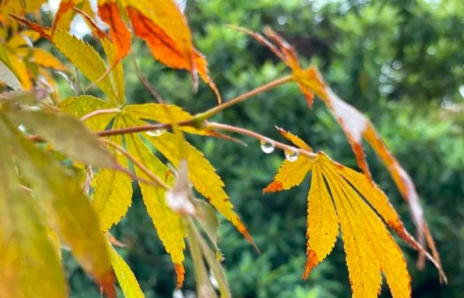 【江海校园】冬日的校园，书香四溢