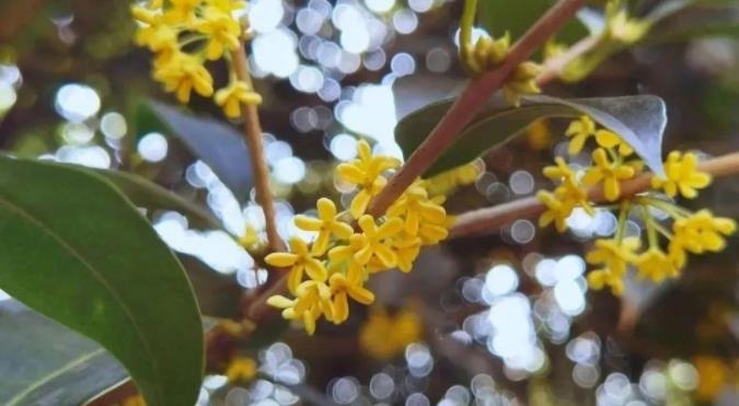 1705571717459317.jpg 【江海校园】冬日的校园,书香四溢2.jpg