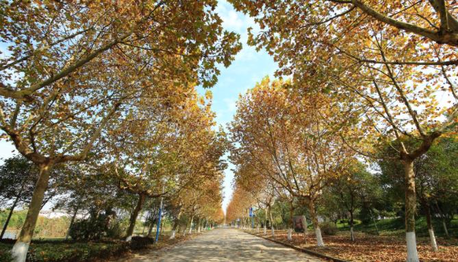 1705571735282928.jpg 【江海校园】冬日的校园,书香四溢3.jpg