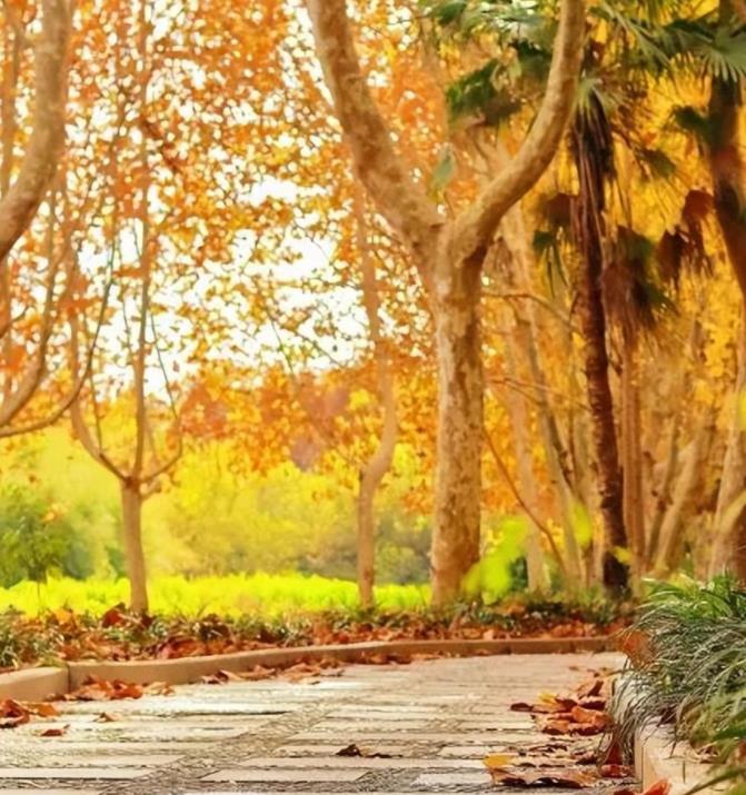 1705571750520696.jpg 【江海校园】冬日的校园,书香四溢5.jpg