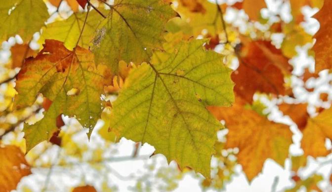 1705571768395833.jpg 【江海校园】冬日的校园,书香四溢6.jpg