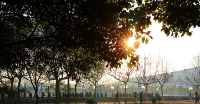 1705571780671913.jpg 【江海校园】冬日的校园,书香四溢7.jpg