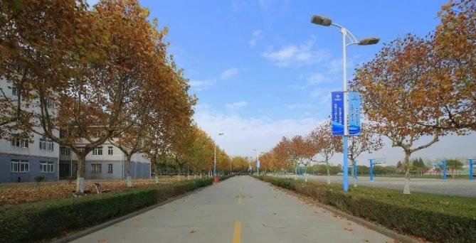 1705571785971419.jpg 【江海校园】冬日的校园,书香四溢8.jpg