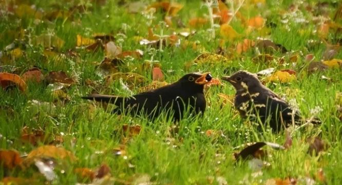 1705571798656357.jpg 【江海校园】冬日的校园,书香四溢9.jpg