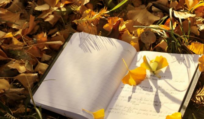 1705571809678546.jpg 【江海校园】冬日的校园,书香四溢11.jpg