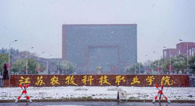 江苏农牧科技职业学院雪景|冬藏万物，一场清染人间