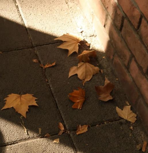 苏职大|化学元素与校园之间的碰撞