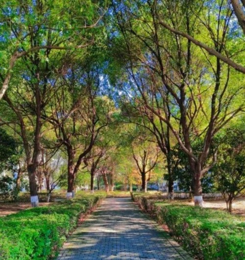 1705647128855297.jpg 无锡商业职业技术学院13.jpg