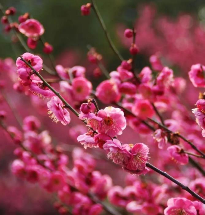 1705647163400975.jpg 无锡商业职业技术学院15.jpg